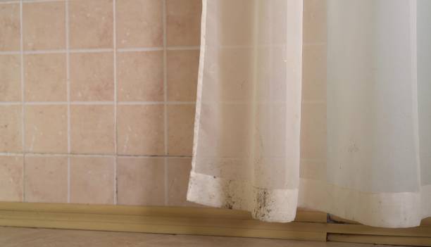 Best HVAC Mold Inspection and Cleaning  in Aurora, MN
