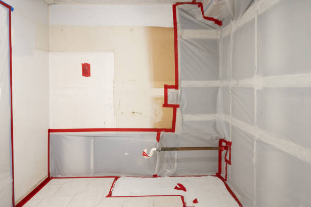 Dehumidification Services in Aurora, MN