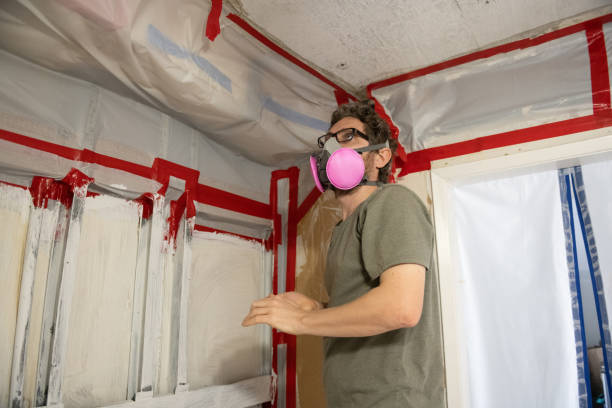 Best Real Estate Mold Inspection  in Aurora, MN