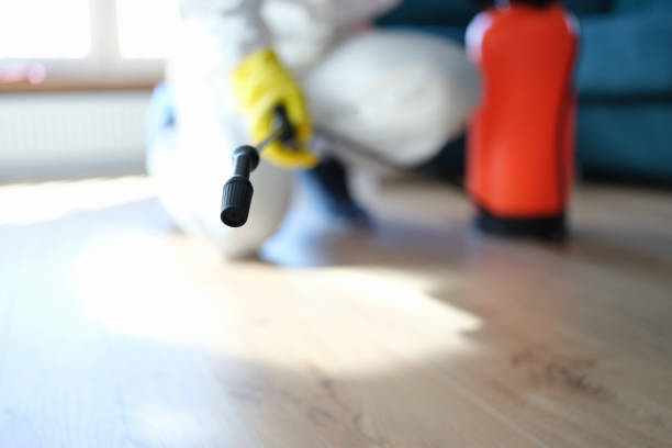 Best Indoor Air Quality Assessment  in Aurora, MN