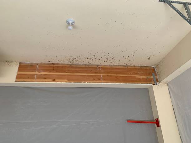 Best Post-Remediation Verification Testing  in Aurora, MN